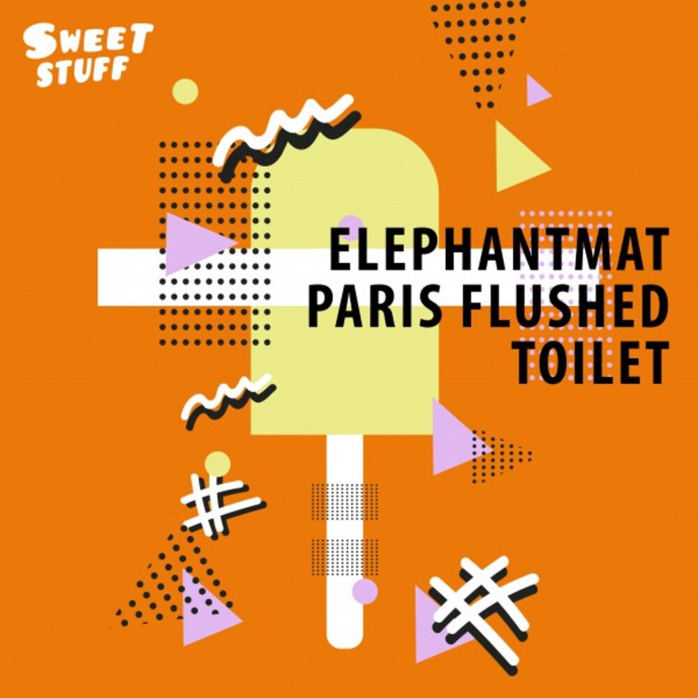 Picture of Paris Flushed Toilet
