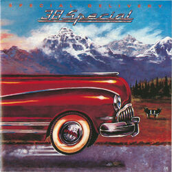 Cover of Special Delivery