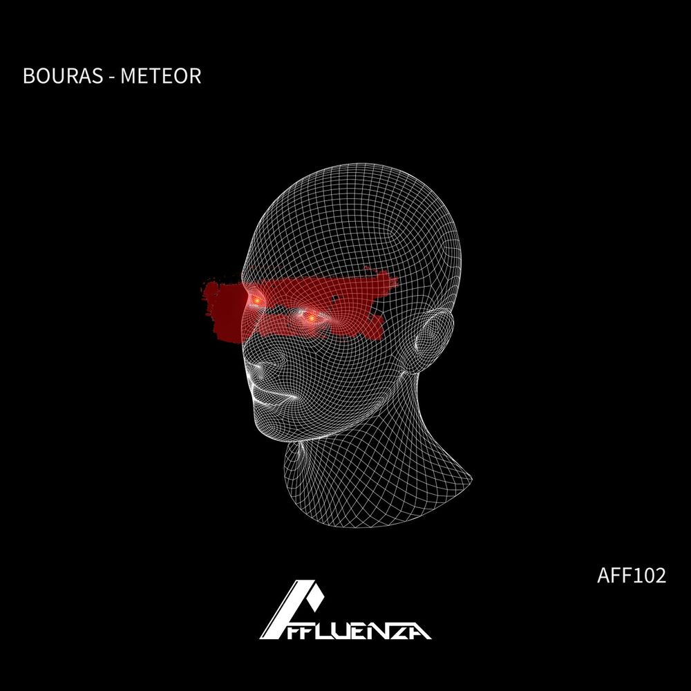 Picture of Meteor