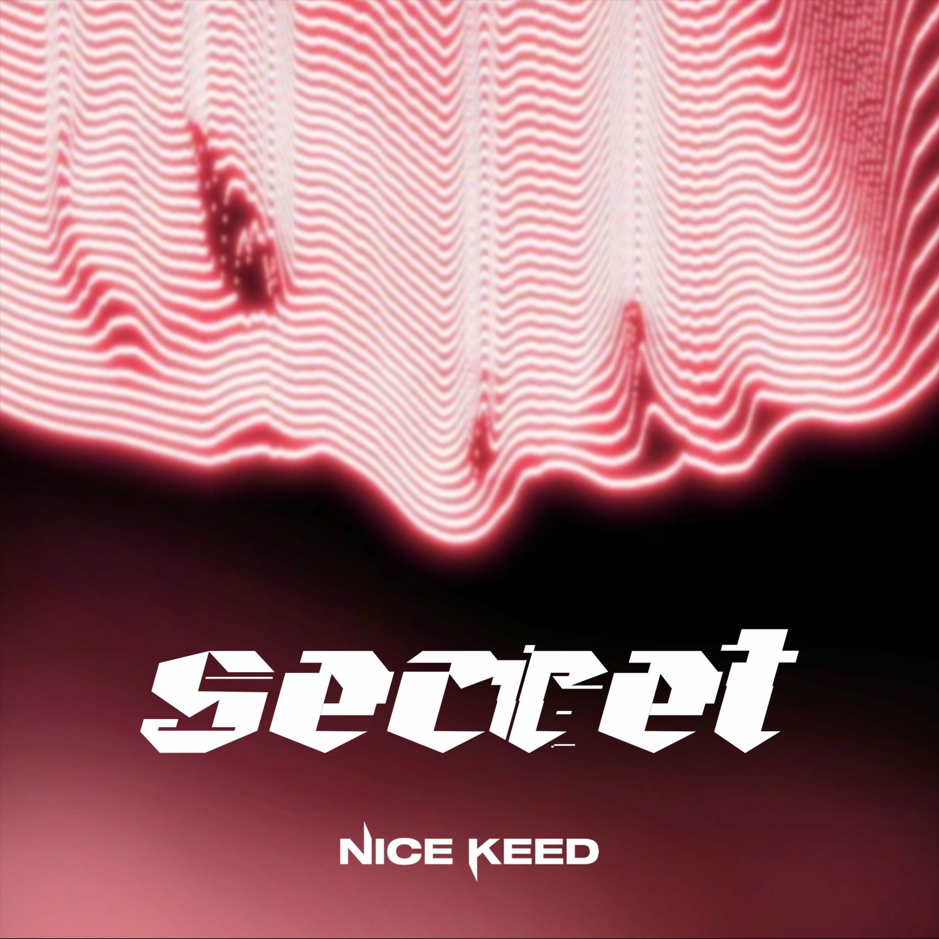 Album cover of Secret