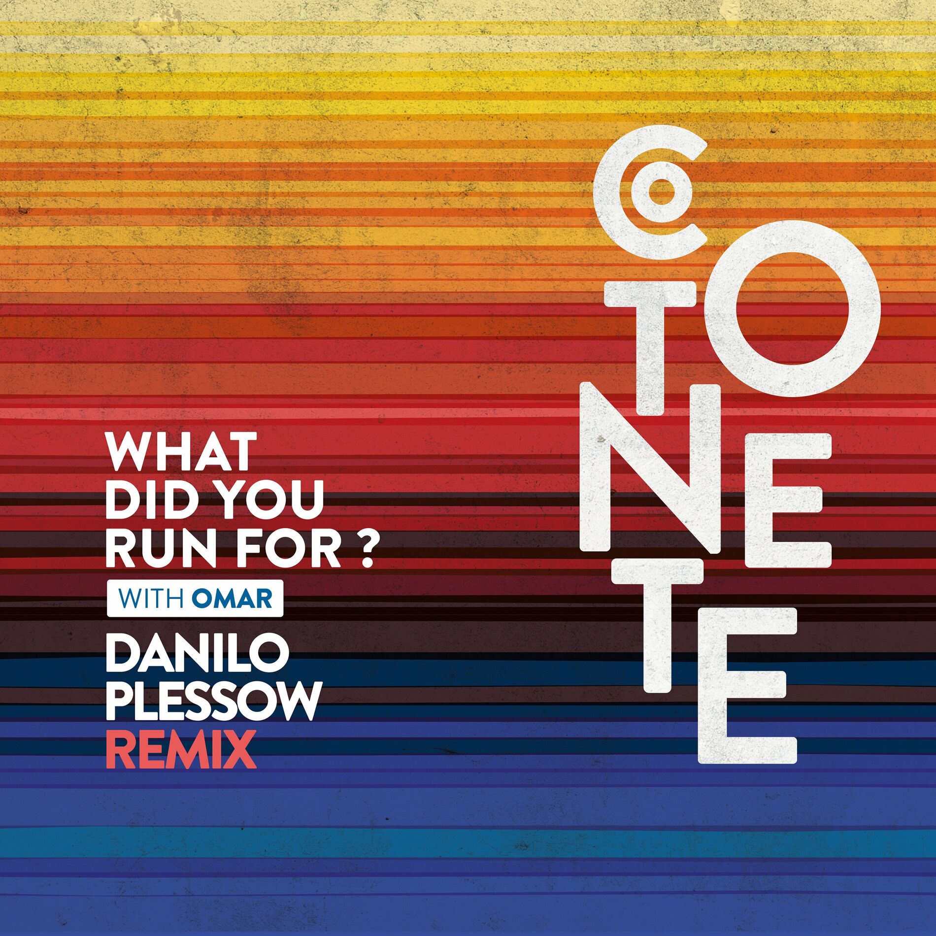 Album cover of What Did You Run For? (Danilo Plessow Remix)
