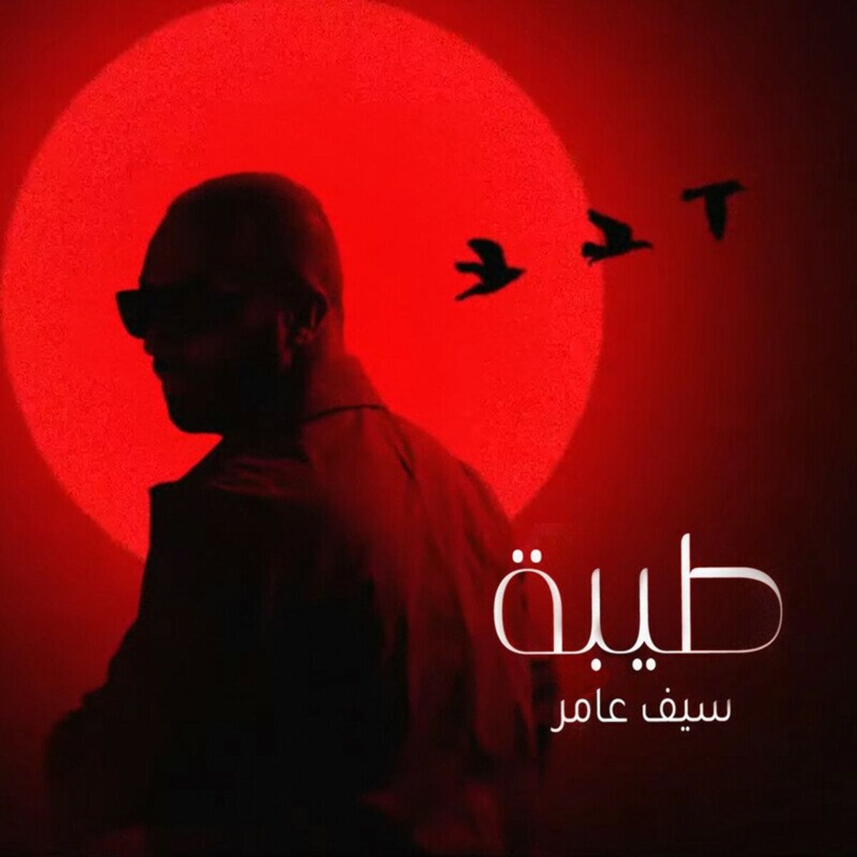 Album cover of Teba