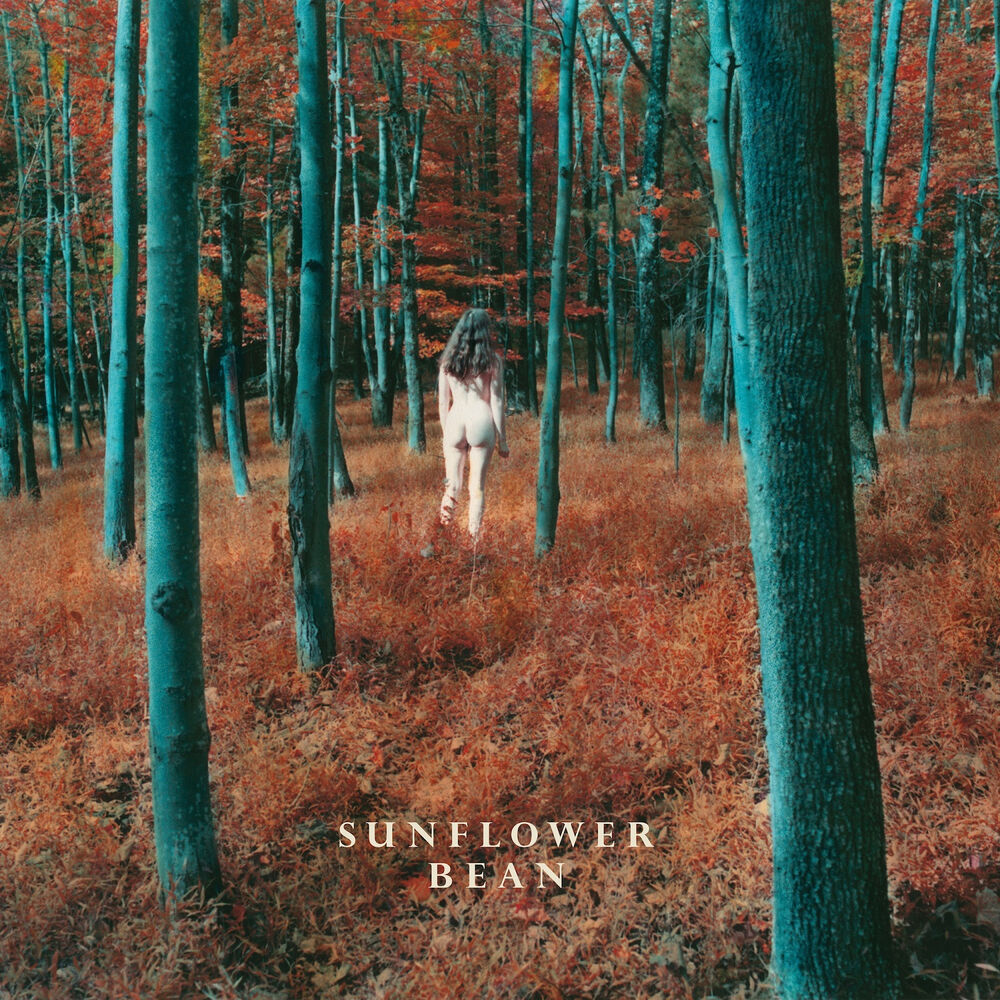 Picture of I Hear Voices / The Stalker