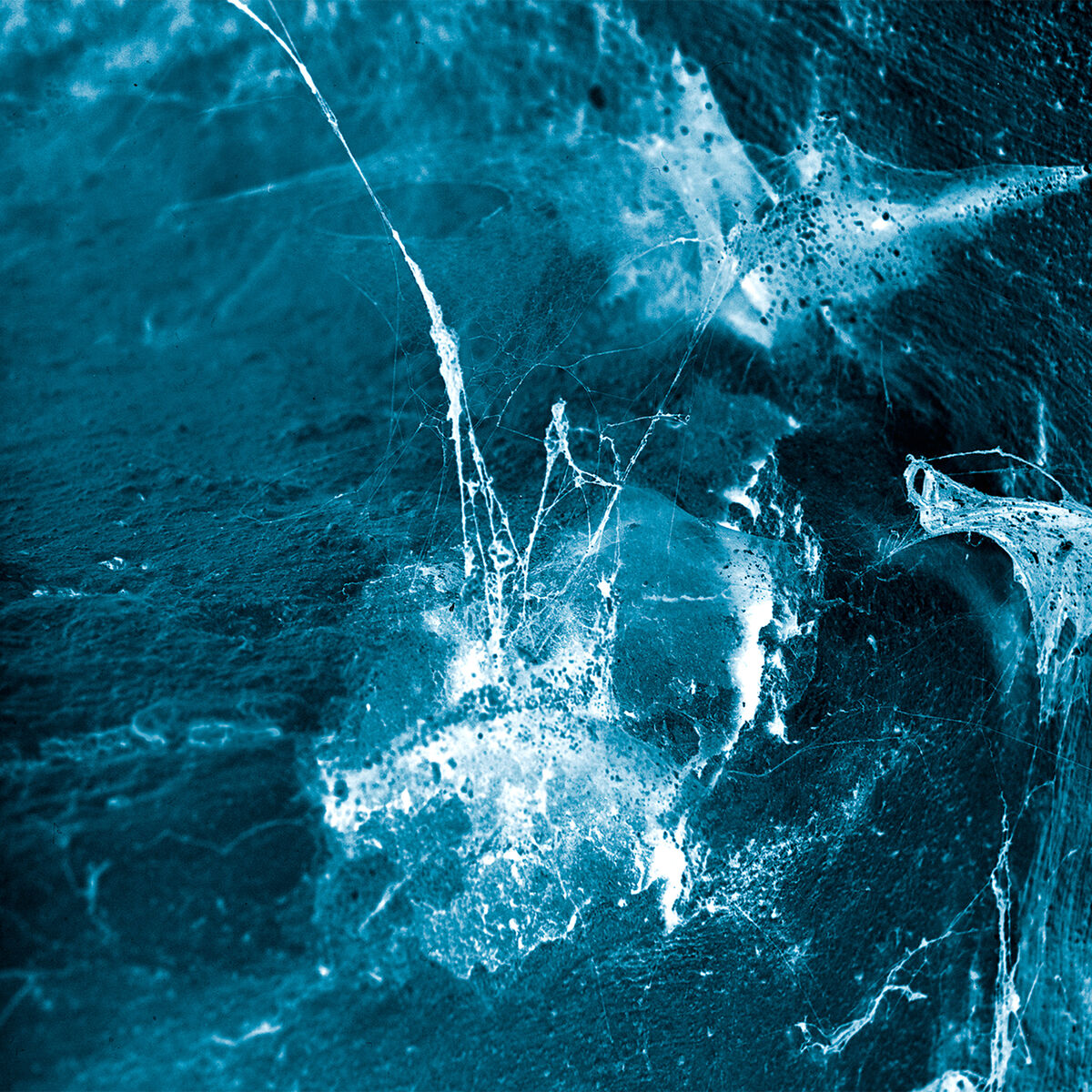 Album cover of Ró
