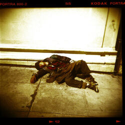 Cover of Never Give Up