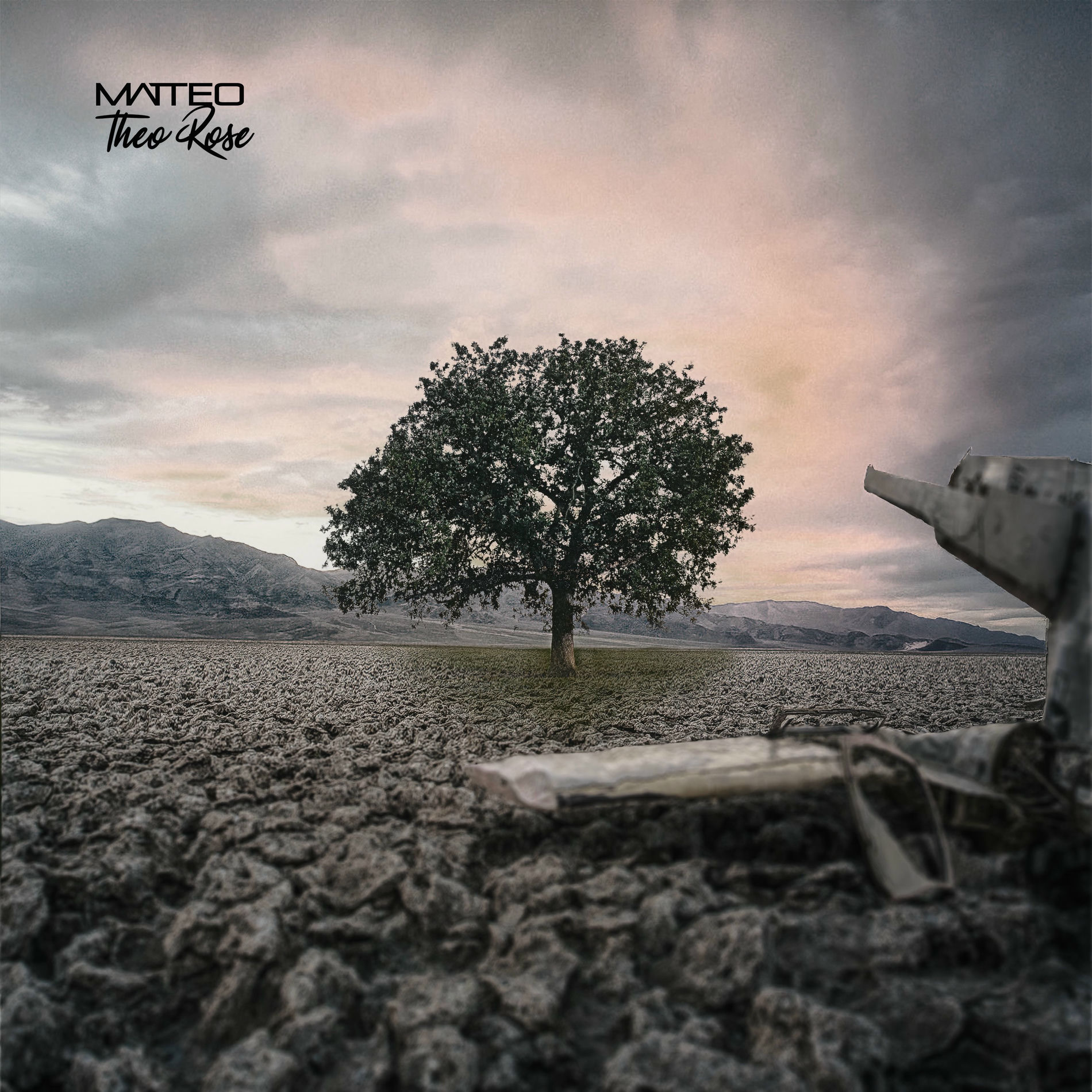 Album cover of Copacul