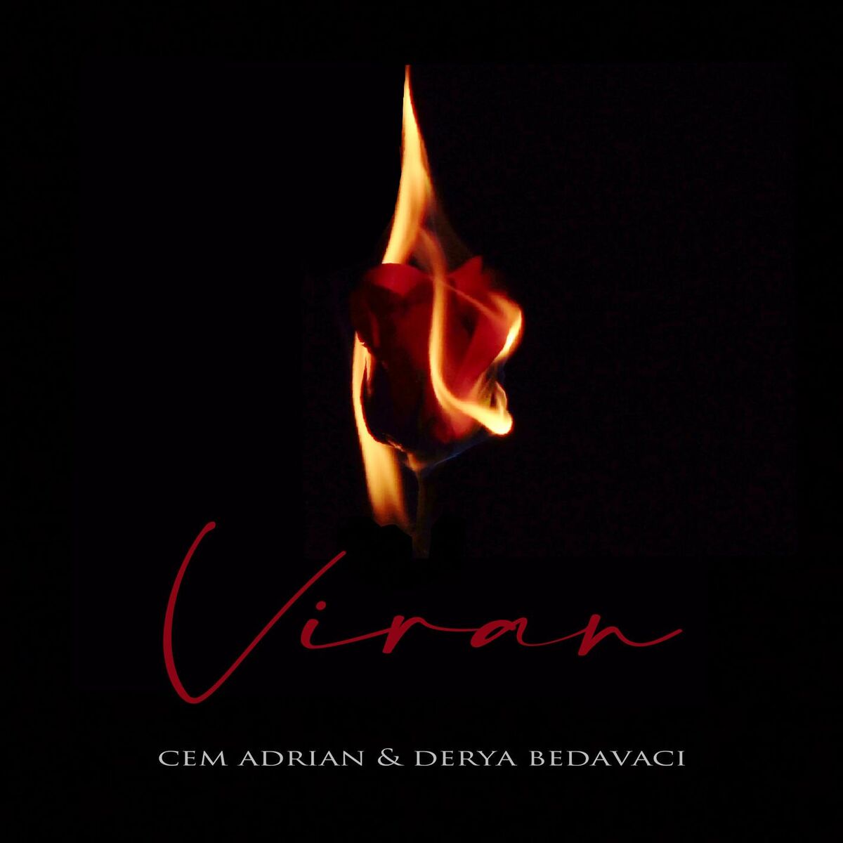 Album cover of Viran