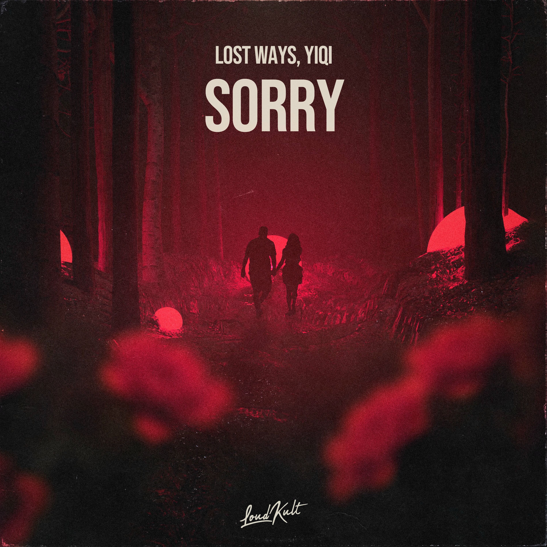Album cover of Sorry