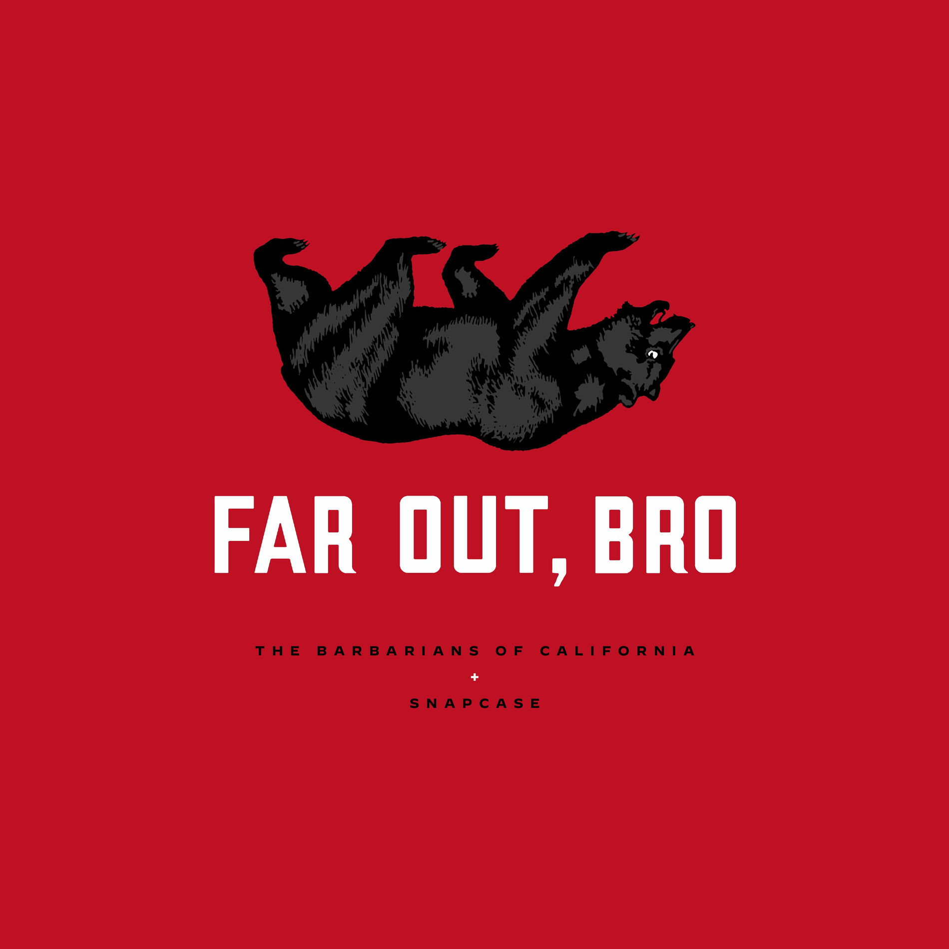 Album cover of Far Out, Bro (Feat. Daryl Taberski of Snapcase)