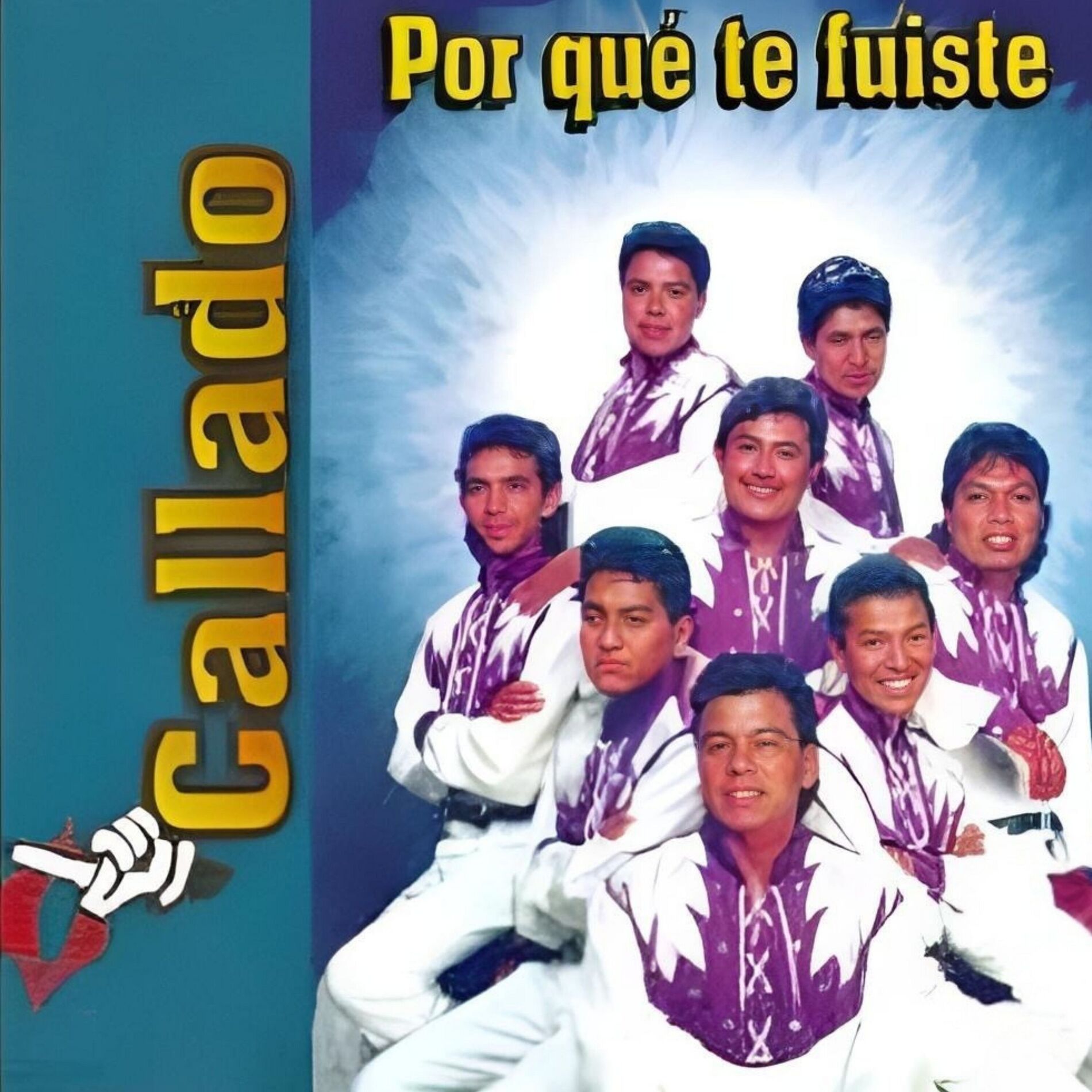 Album cover of Por Qué Te Fuiste