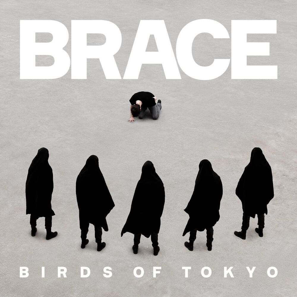 Picture of Brace