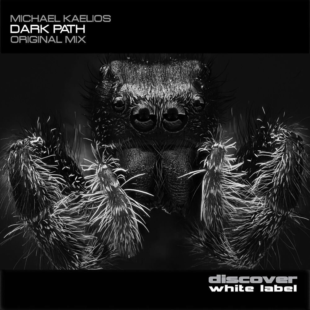 Picture of Dark Path