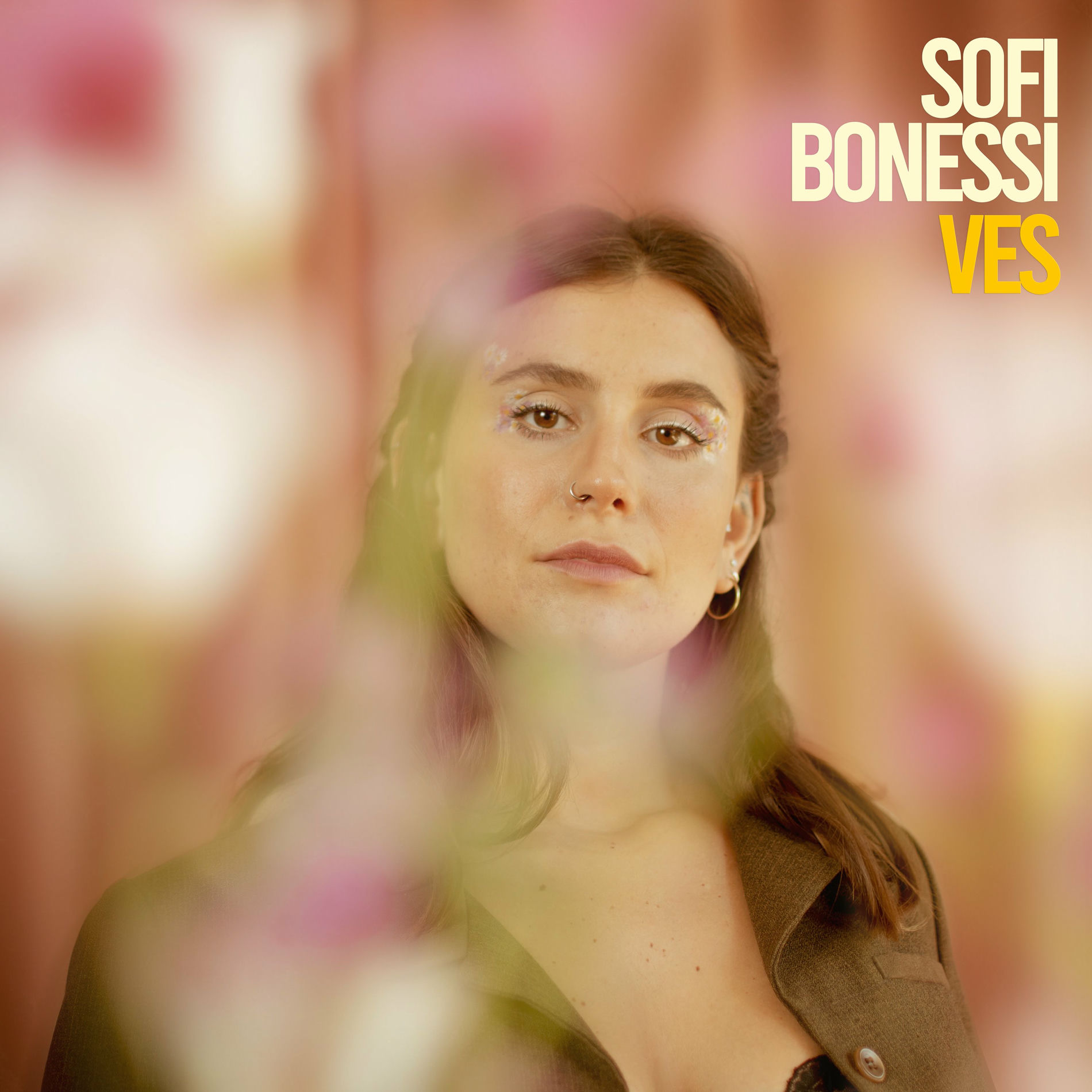 Album cover of Ves