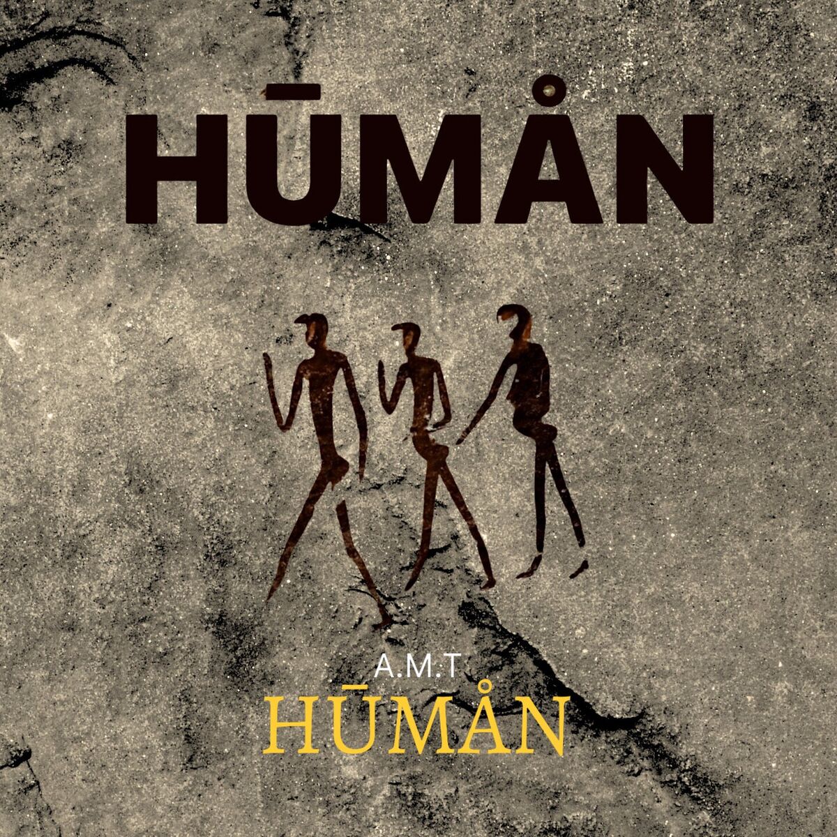 Album cover of HŪMÅN