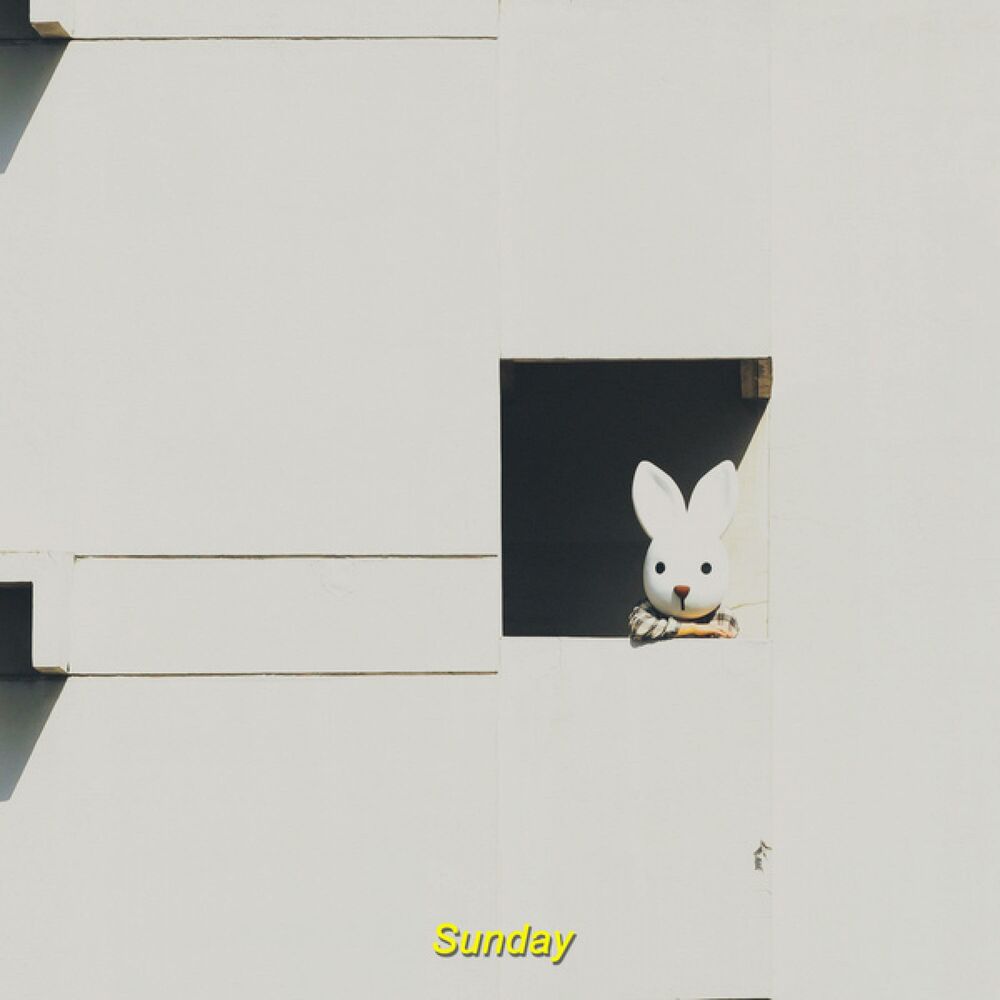 Picture of Sunday