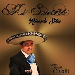 Cover of Mi Sueño
