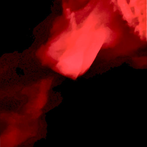 Red Room