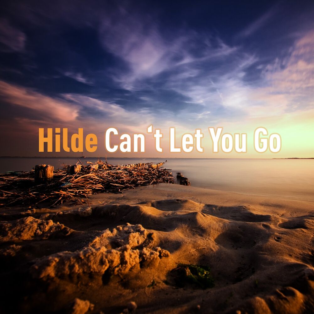 Picture of Can't Let You Go