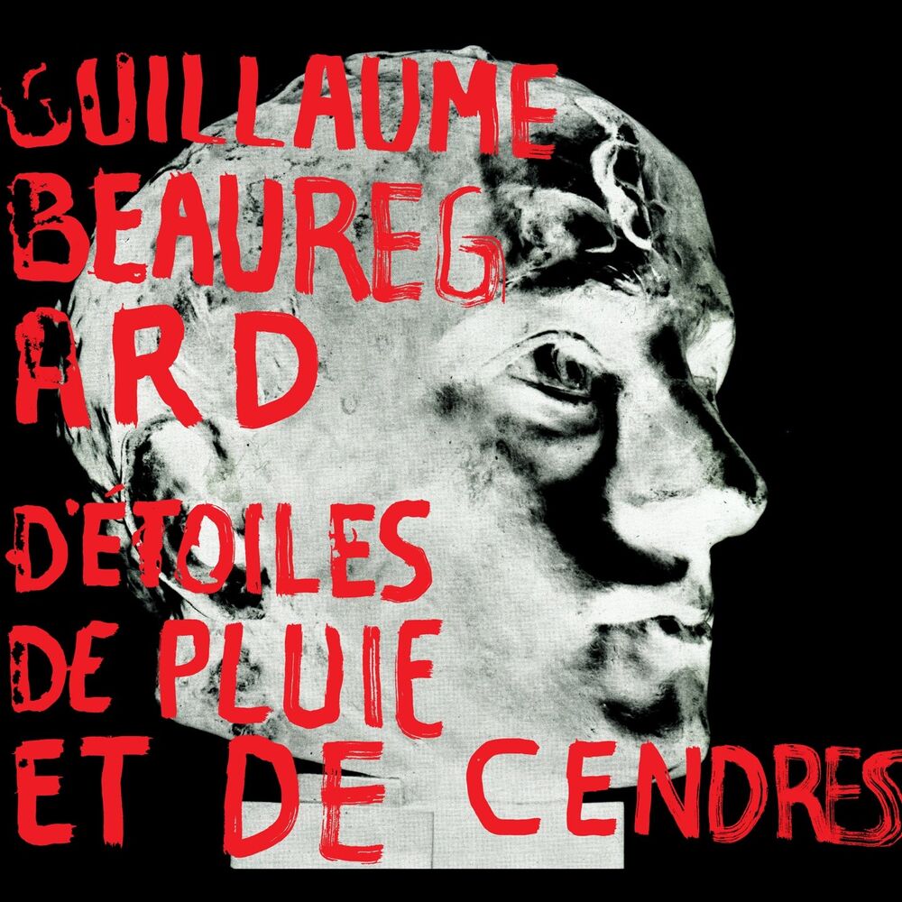 Picture of D'étoiles, de pluie et de cendres