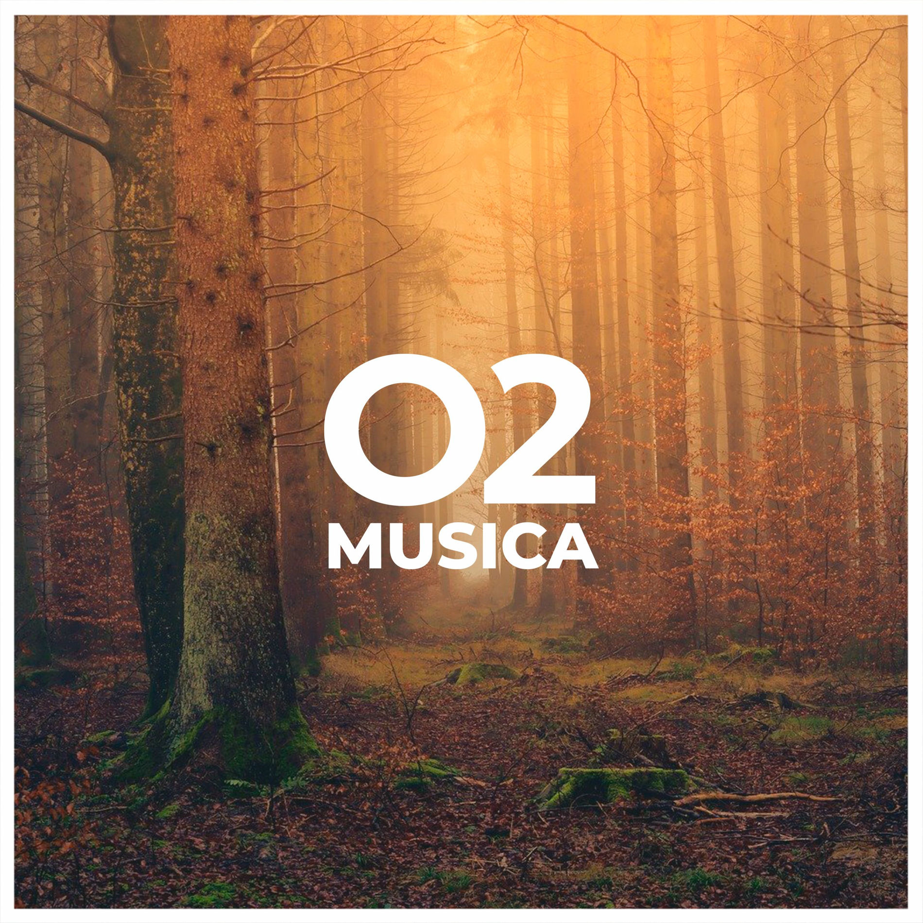 Album cover of Naked