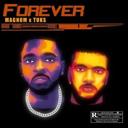 Cover of Forever (Get a girl riddim)