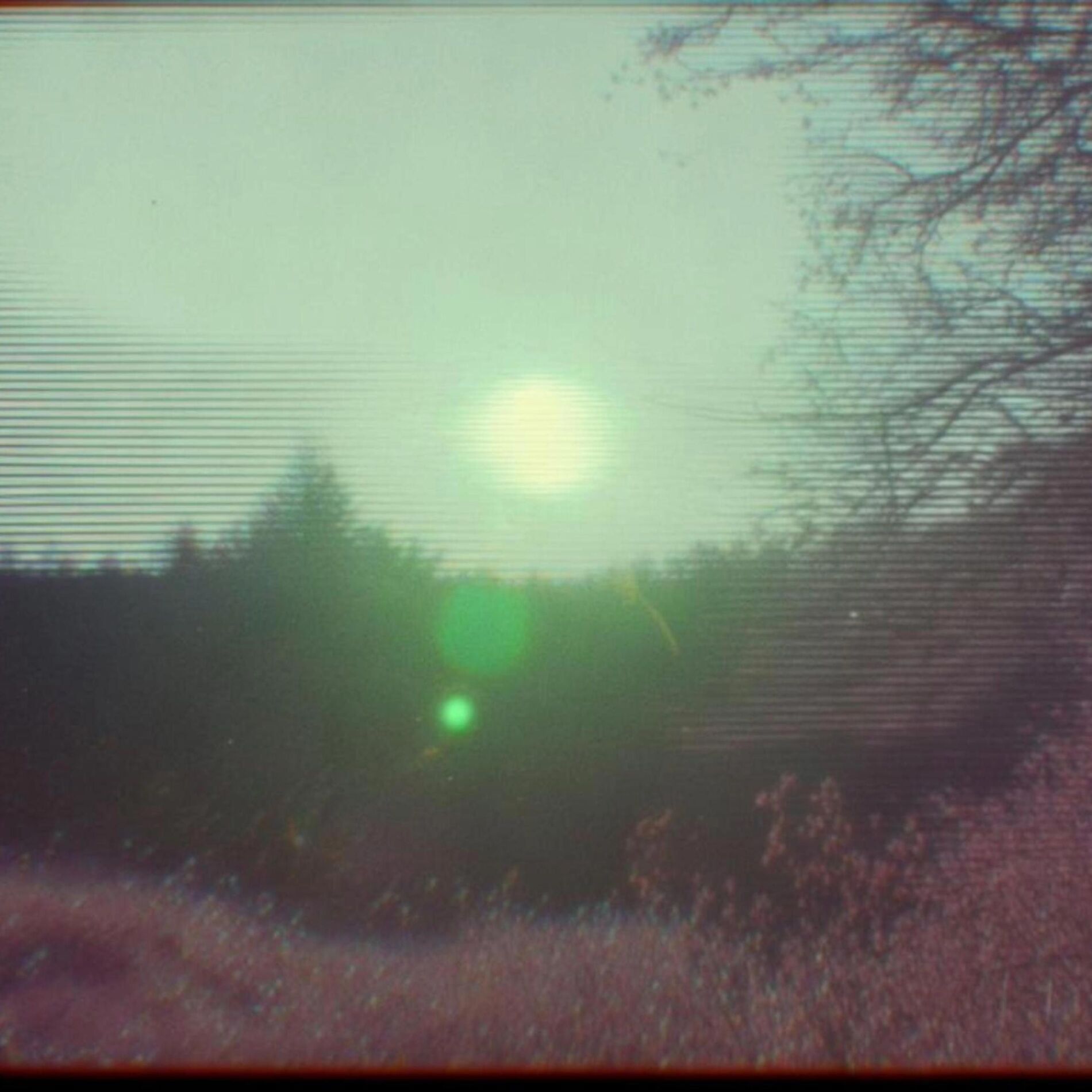 Album cover of safe and sound