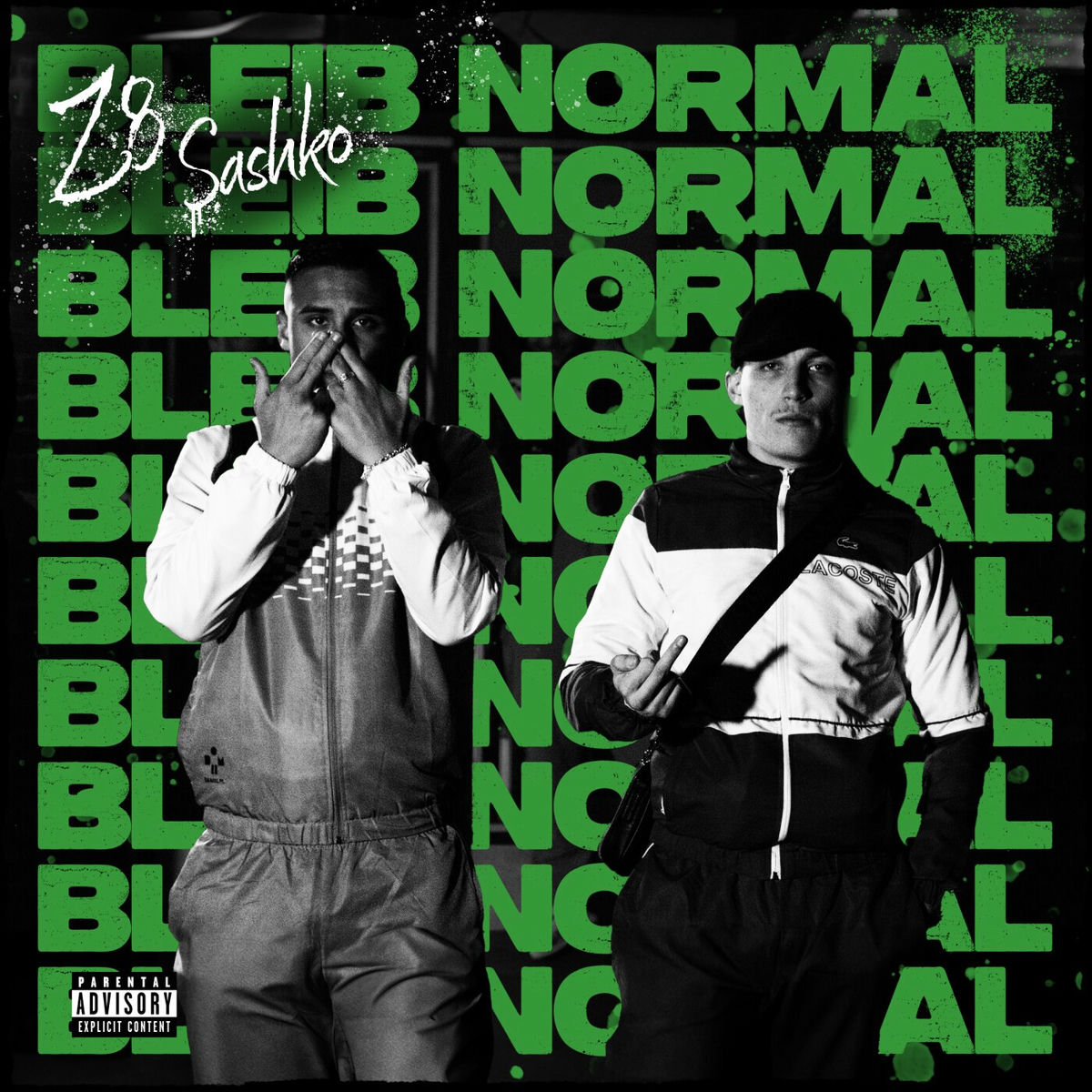 Album cover of Bleib Normal