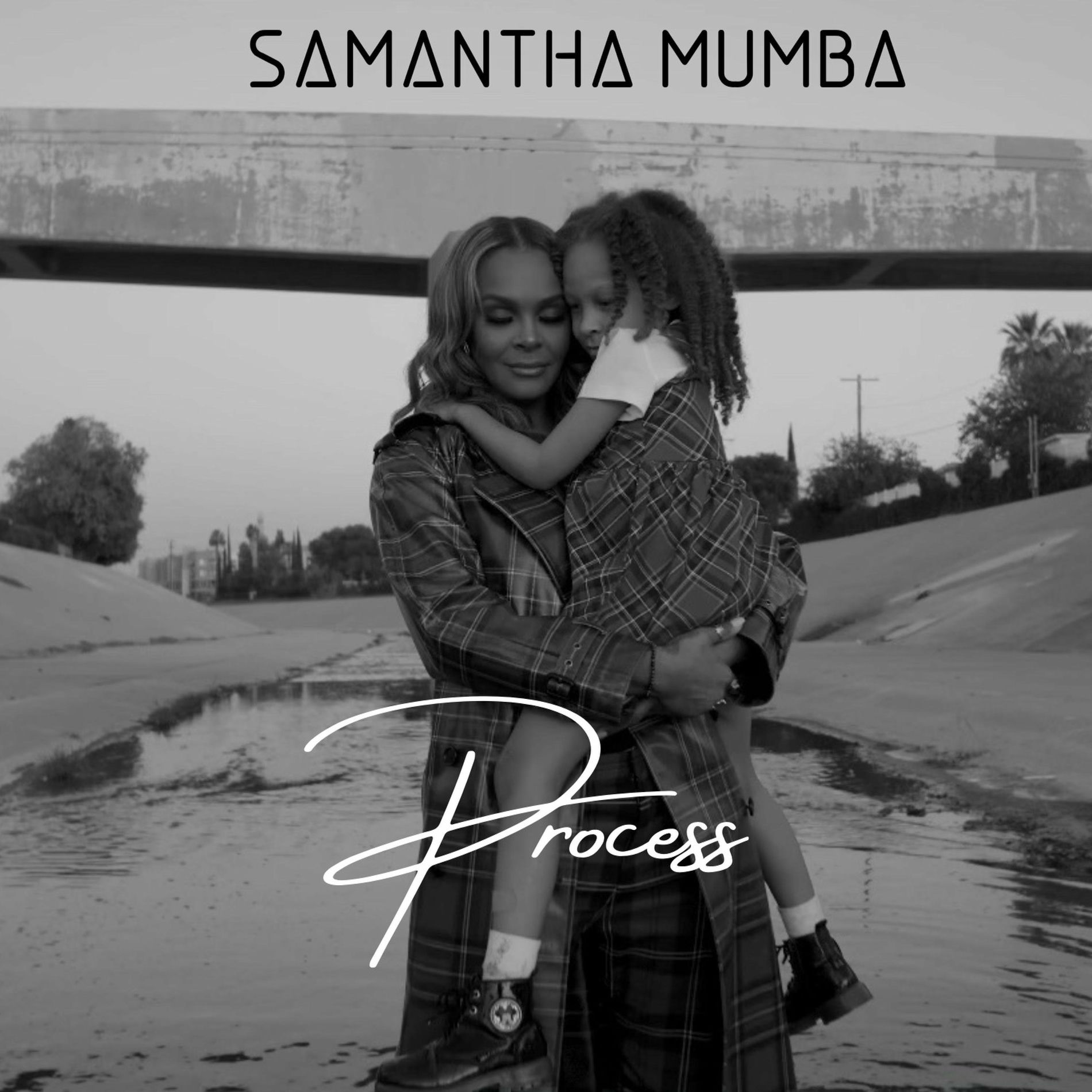 Album cover of Process