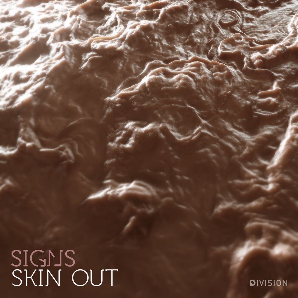 Picture of Skin Out