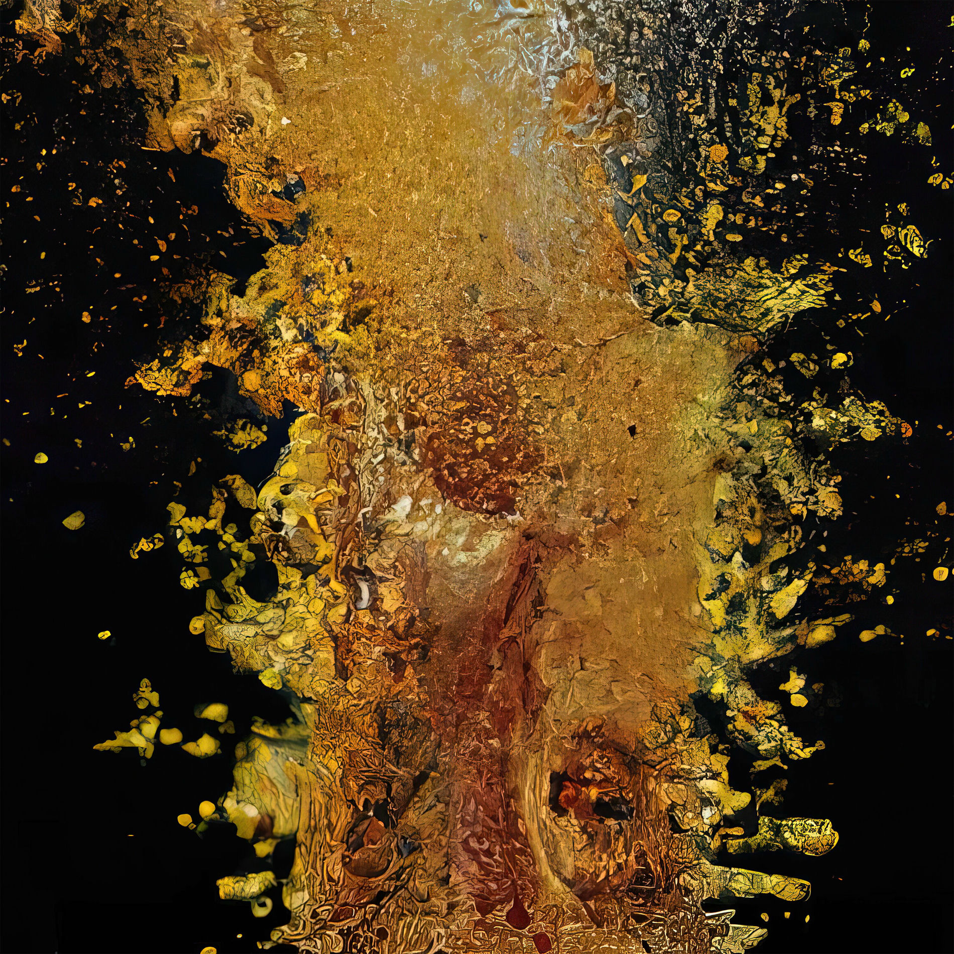 Album cover of Never Far