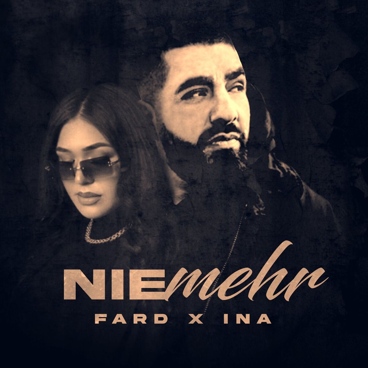Album cover of NIE MEHR