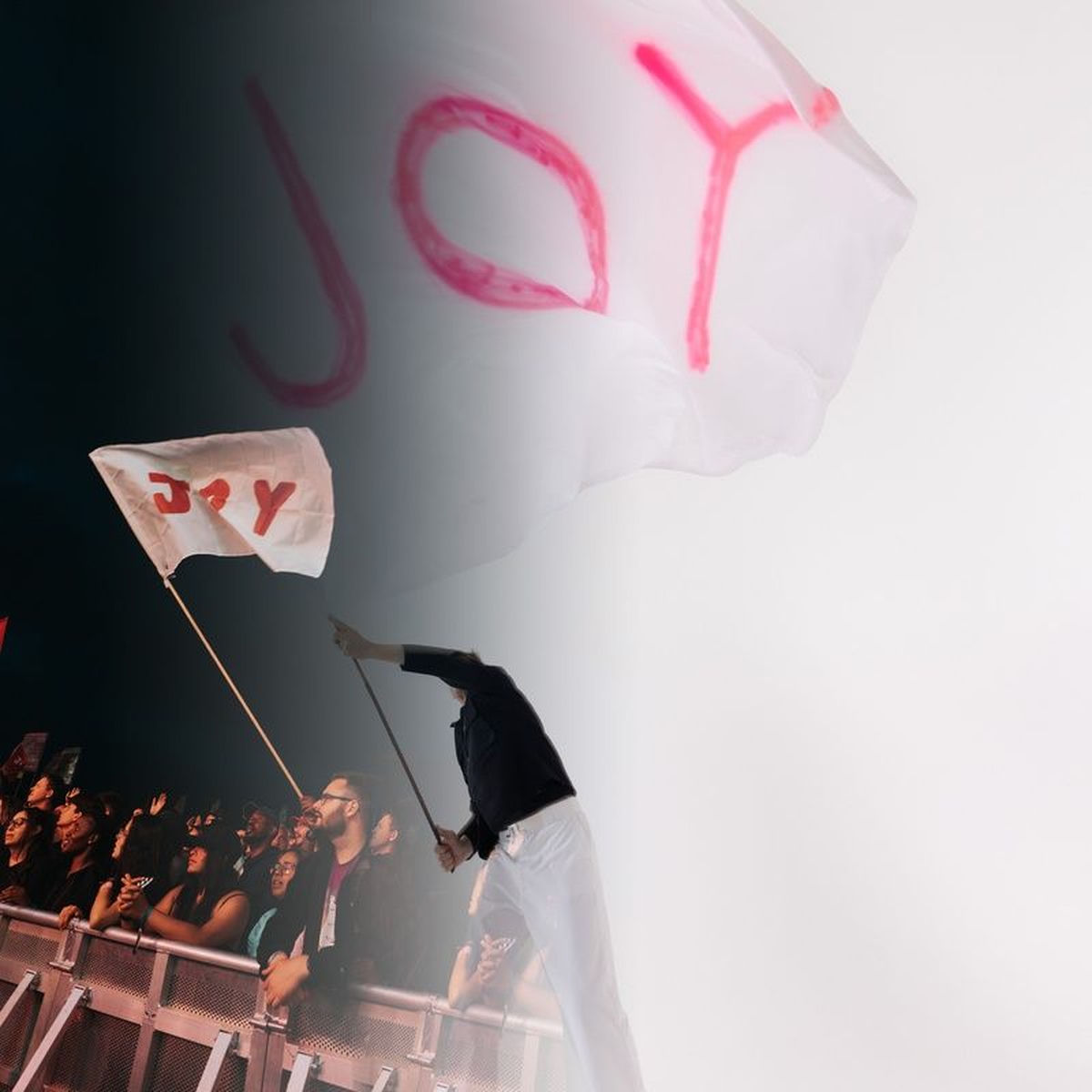 Album cover of JOY (Remix Vol. 1)