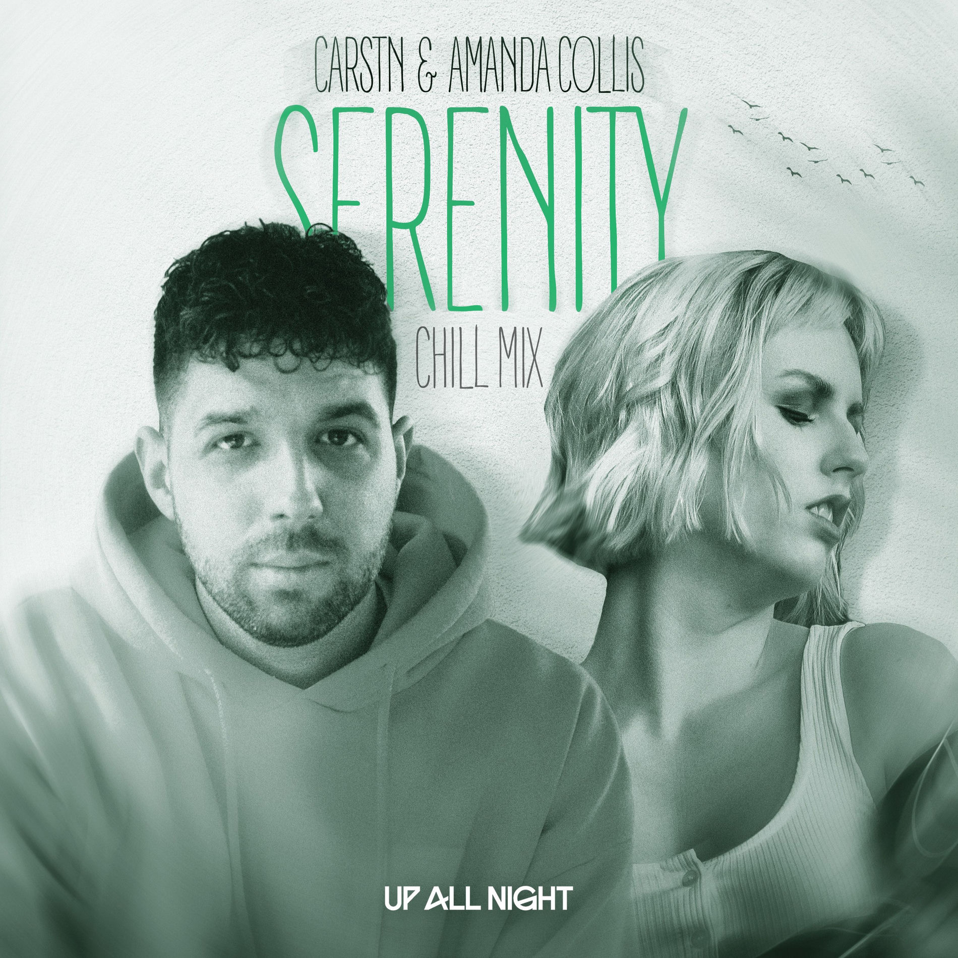 Album cover of Serenity (Chill Mix)