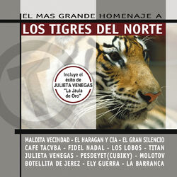 music cover