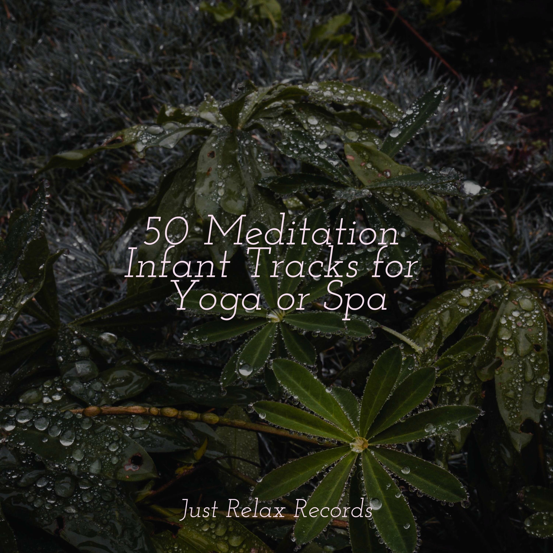 Album cover of 50 Meditation Infant Tracks for Yoga or Spa