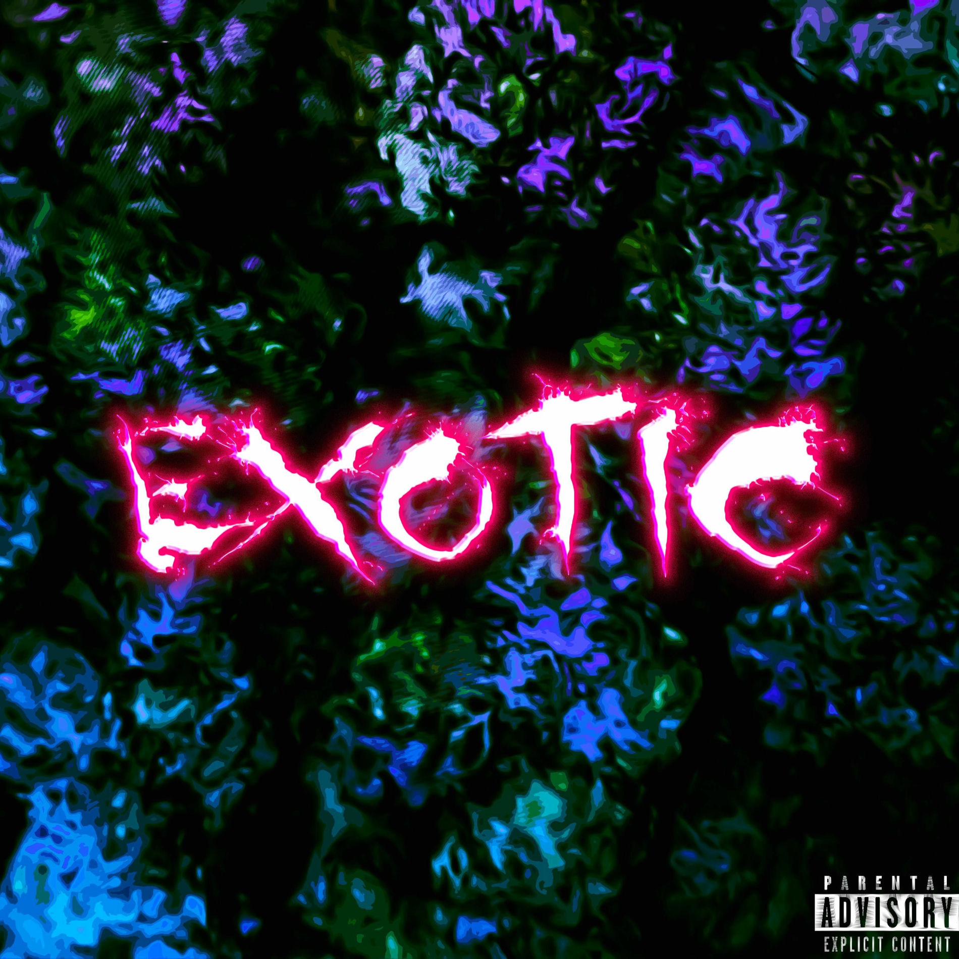 Album cover of Exotic Za