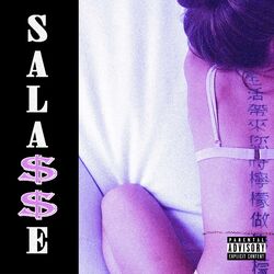 Cover of Sala$$e