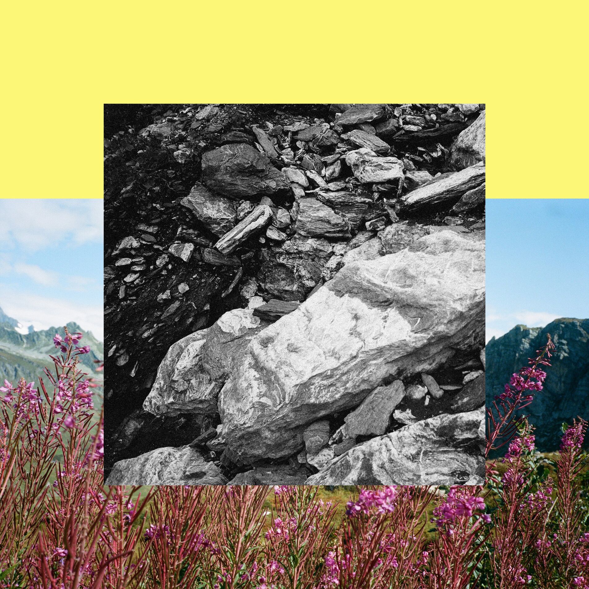 Album cover of White Circle Canteen