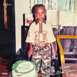 Cover of Emeka Must Shine