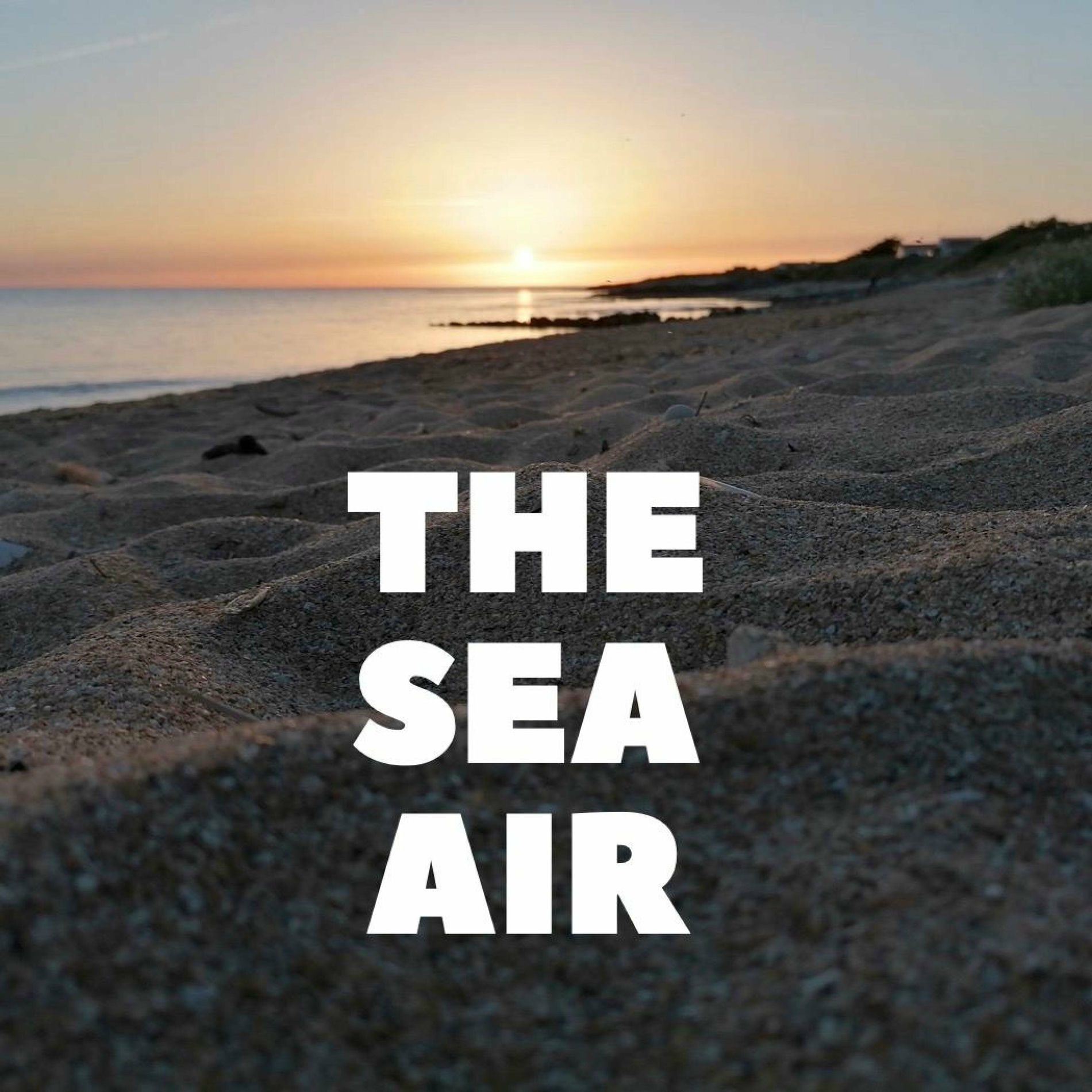 Album cover of The Sea Air (feat. J.L.)