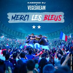 Cover of Merci les bleus
