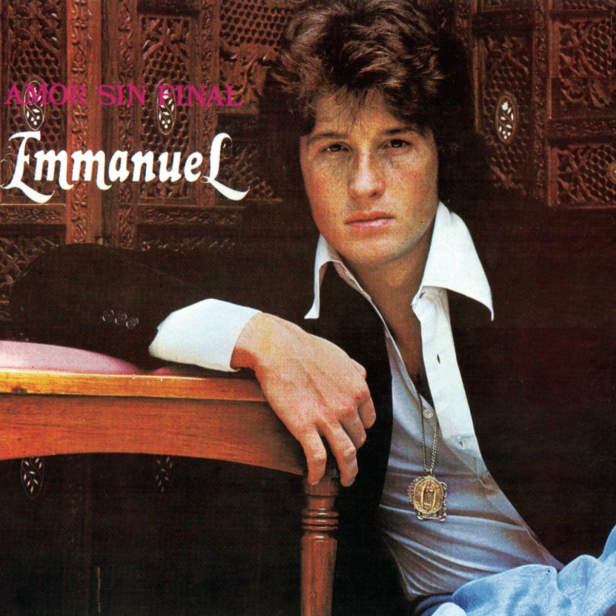 Album cover of Amor Sin Final