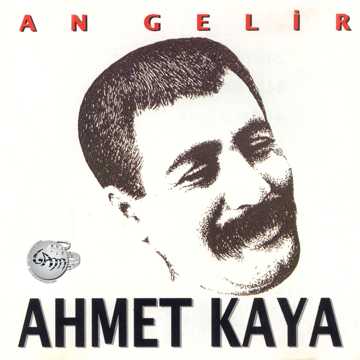 Album cover of Çiğdem Çiçek