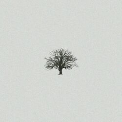 Cover of Seasons