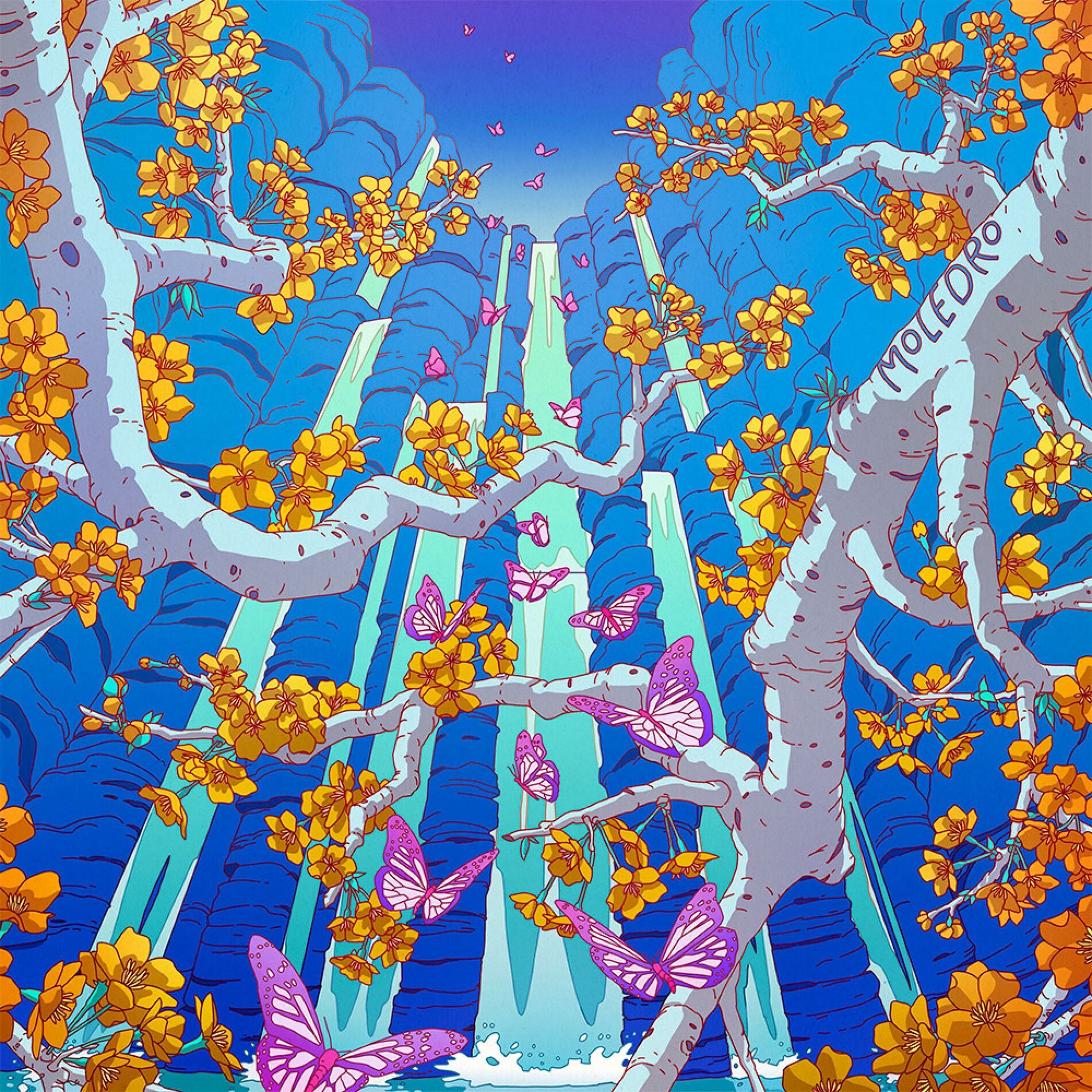 Album cover of Moledro
