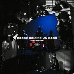 Cover of Bosse comme un boss