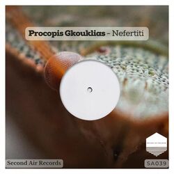Cover of Nefertiti