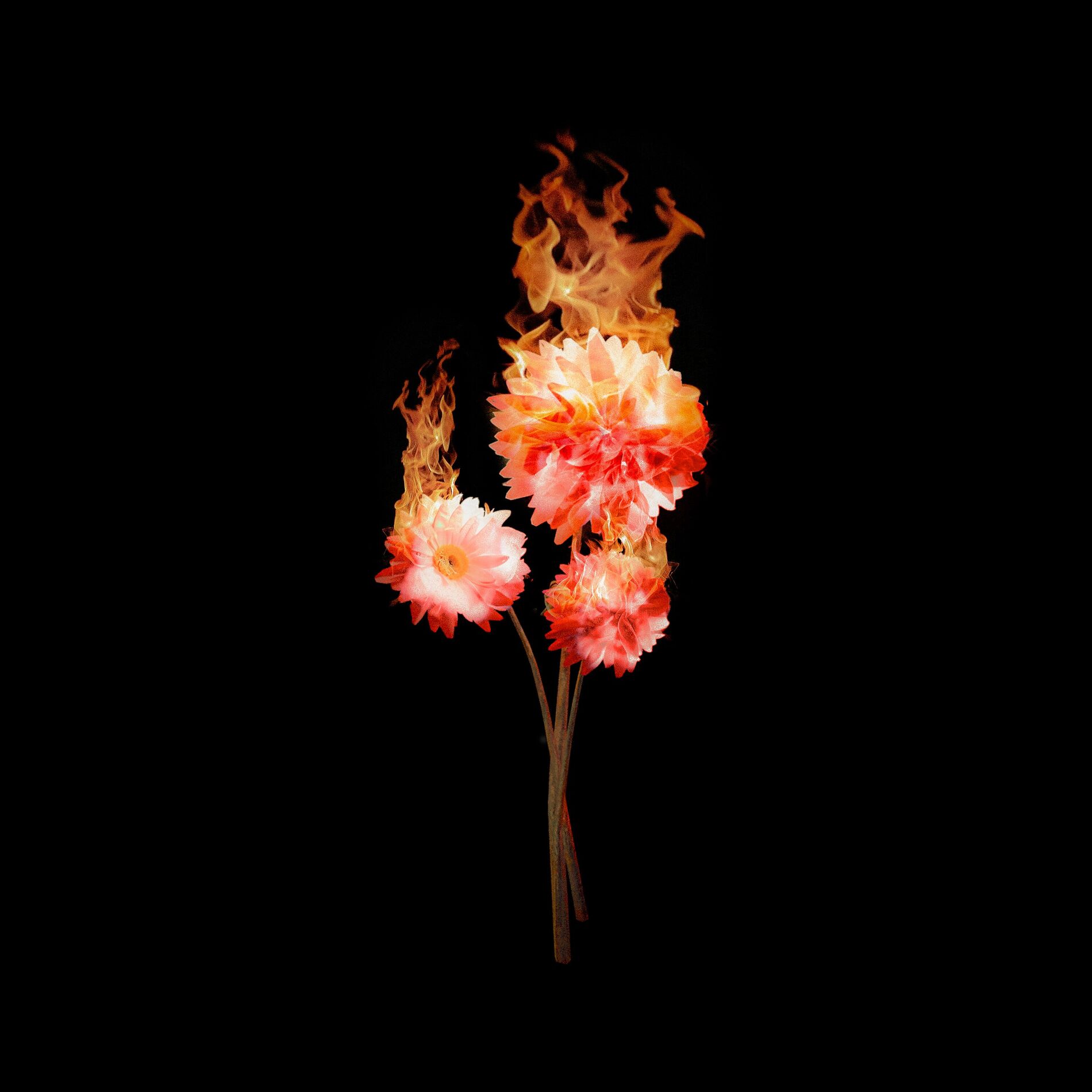 Album cover of Que Vuelva