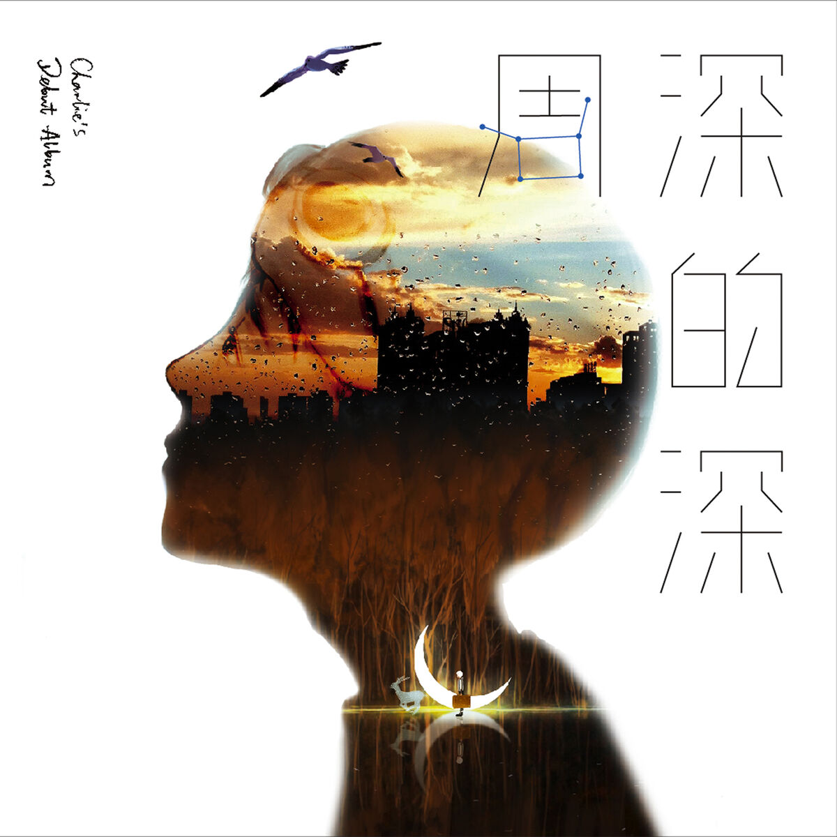Album cover of 深的深