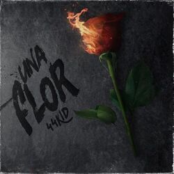 Cover of Una Flor